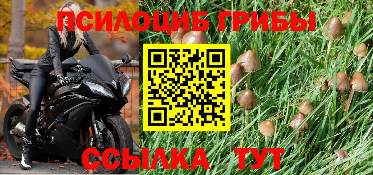 Галлюциногенные грибы мухоморы Строитель
