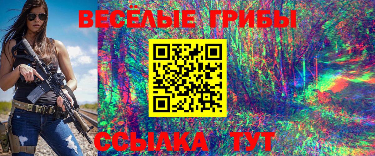 Псилоцибиновые грибы мицелий  Вход с VPN  Строитель 